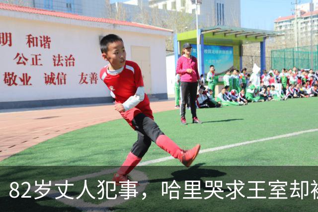 82岁丈人犯事，哈里哭求王室却被抵制，查尔斯：别来烦我！
